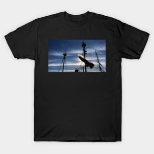 Pier 17 NYC Seagull T-Shirt